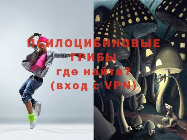 МДМА Богородицк